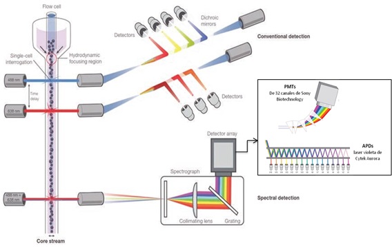 HIGH THROUGHPUT FLOW CYTOMETRY – SERVICIOS DE APOYO A LA INVESTIGACIÓN